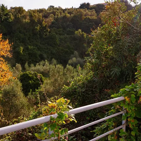 Lira The Hidden Gem Above The Sea