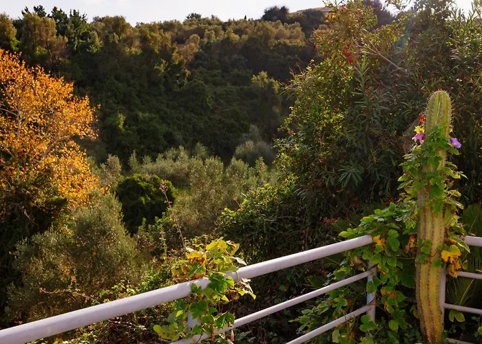 Lira The Hidden Gem Above The Sea